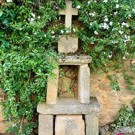 Casa D Dinis Alfaiates